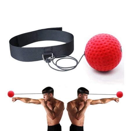 Boxing Reflex Ball