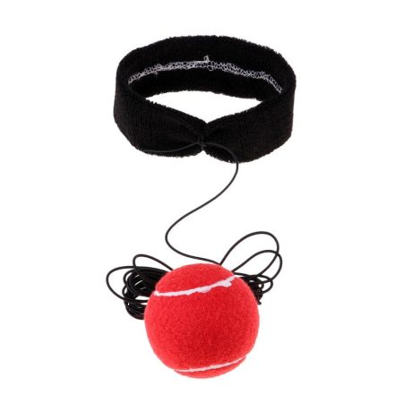 Fight Training Exercise  Tennis Ball